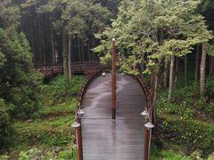 -优游吧斯邹族文化部落