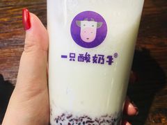 -一只酸奶牛(时代天街A馆店)