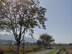 -溪口-滕头旅游景区