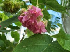 -北京植物园-展览温室