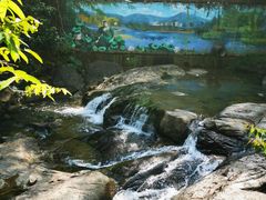 -广州白江湖森林公园