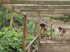 -大岭沟猕猴桃谷风景区