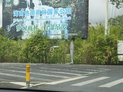 -海南热带雨林国家公园吊罗山景区
