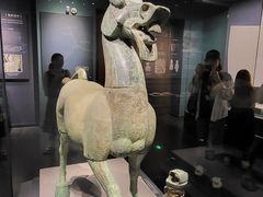 -广西壮族自治区博物馆