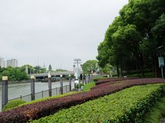 -陈家山荷花公园