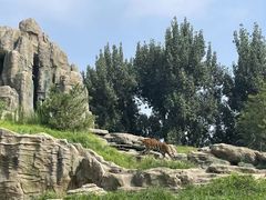 -北京野生动物园