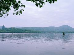 -西湖外事游船(花港观鱼码头)