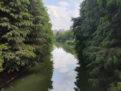 -昆山城市生态森林公园