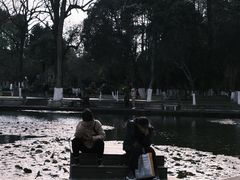 -庾园