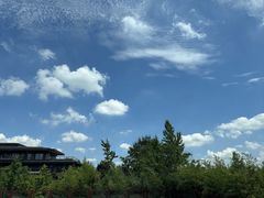 -徐州绿地皇冠假日酒店-汉宫中餐厅