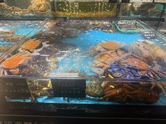 -徐记海鲜(南油永新汇店)