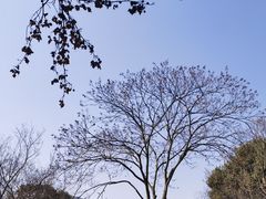-中国茶叶博物馆(双峰馆区)