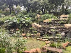 -南山植物园