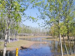 -东郊湿地公园