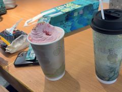 -雾与山茶(大禹城店)