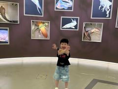 -香港科学馆