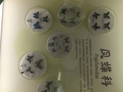 iphone_upload_pic-常州博物馆