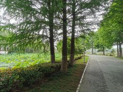 -石湖景区