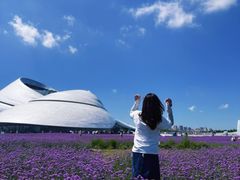 -哈尔滨大剧院