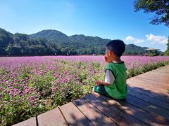 -广州市石门国家森林公园