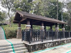 -王借岗森林公园