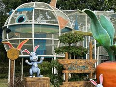 -森波拉奇妙世界