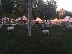 -九十九顶毡房(阜石路店)