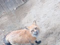 -无锡动物园·太湖欢乐园