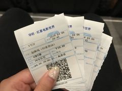 -红星电影世界上海张江绿地店