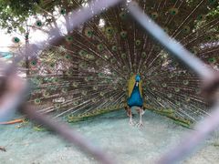 -陕西自然博物馆