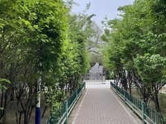 -黄村公园
