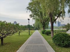 -莲花池公园