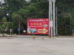 -东芭乐园