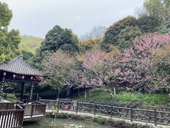 -古隆中景区