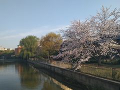 -金桥现代产业园区-停车场