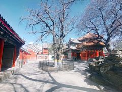 -北京艺术博物馆(万寿寺)