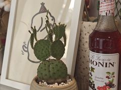 -LIZICAFE小李啡包