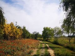 -绿堤公园