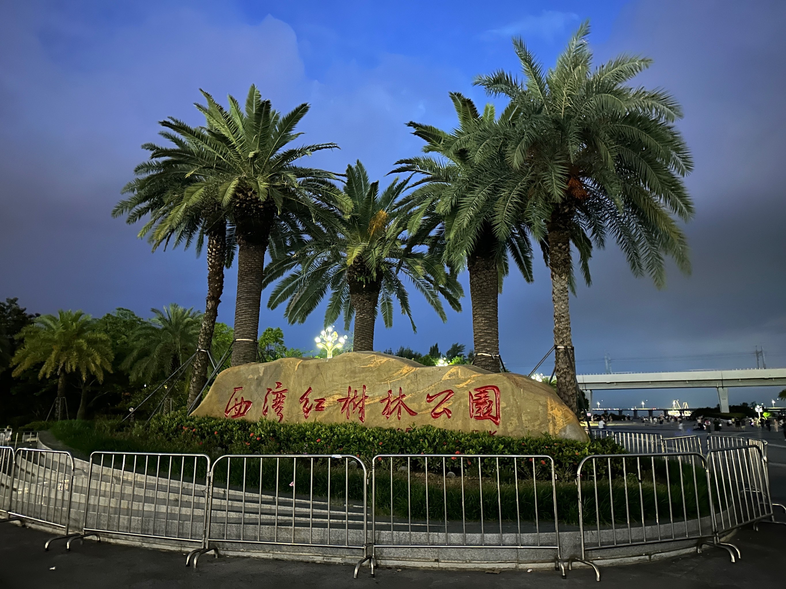 📍西湾红树林公园跑步日记 🏃‍♀️✨
