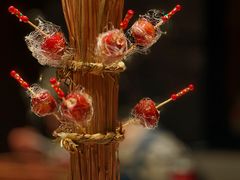 -满堂匠心川宴·私房菜(天府三街店)