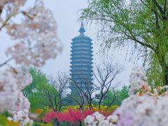 -西海子公园