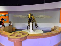 -陕西自然博物馆