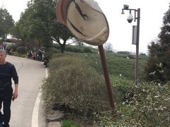 -南京市江宁方山