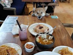 -more than meow吴止猫主题餐厅(承德 中船汇店)