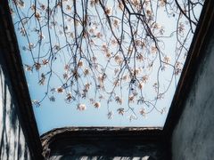 -乌山风景区