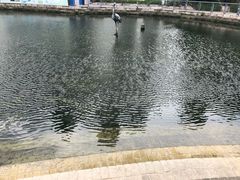 -苏州河梦清园环保主题公园