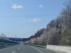 -沣峪口