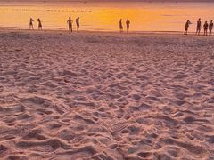 -广东惠东海龟国家级自然保护区