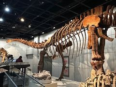 -浙江自然博物院(杭州馆)