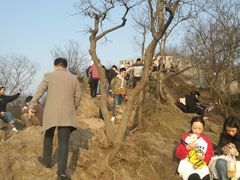 -紫金山山顶公园